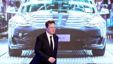 Why Elon Musk Writes "Exactly" on Twitter and What It Means for Crypto Investors