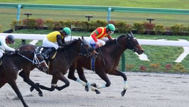 Consigliere wins first leg of Japan en route to KY Derby