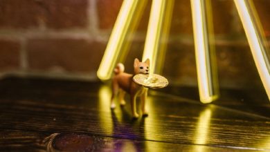 Binance Fixes Dogecoin Withdrawal Issue After Elon Musk