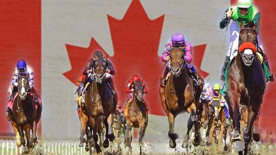 Canada Horse Racing Betting