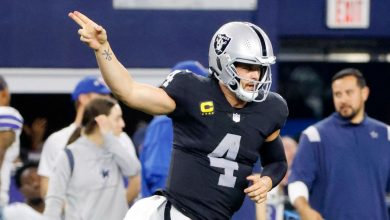 NFL Week 12 Lessons - What we learned, the big questions for each game and the team's future prospects