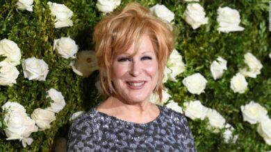 Bette Midler apologizes to West Virginia residents for 'poor, illiterate, chained' tweet