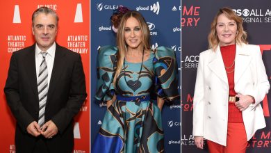 Chris Noth defends Sarah Jessica Parker in failed Kim Cattrall