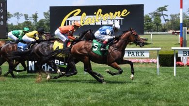 Galawi to enter the Stud at Northview Stallion Station