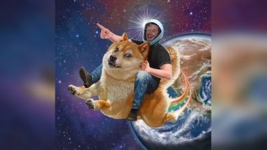 Elon Musk Talks Up Doge Again in Response to High ETH Fees in DeFi