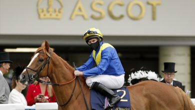 Ascot pays out Prizemoney record in 2022