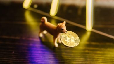 Bitcoin, Ether Fare Better as Dogecoin Price Sees Major Movement After Elon Musk