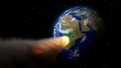 Potentially Hazardous Asteroid Nereus Which Flew Past Earth Could Be Mined for Precious Metals Worth Billions