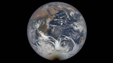 NASA Shares Images of Solar Eclipse Seen From Space