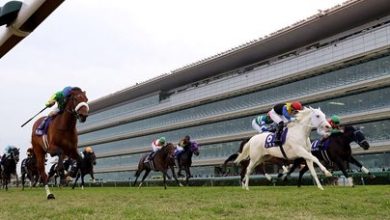 Four Ranked Stake Winners in Hanshin Minors