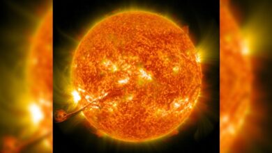 Solar Storm Warning: Expert Says at Least Two