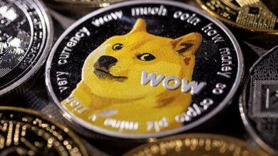 Now, You Can Buy Tesla Merchandise With Dogecoin, Says Elon Musk