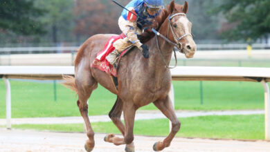 Dash Attack is still undefeated in Smarty Jones