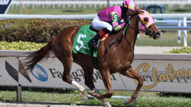 Groupie doll's daughter runs out at Gulfstream