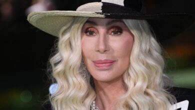 Cher Trashes Trump and Tries to Fire Up the Dems on MSNBC