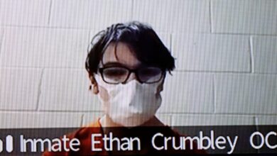 Ethan Crumbley, Accused Michigan Oxford High School Shooter, Will Plead Insanity