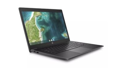 HP Fortis Chromebooks, Windows Laptops With Rugged Builds Launched