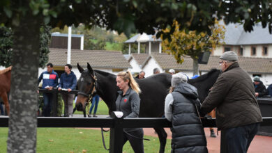 Winter sale action moves to Deauville