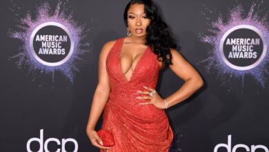 Hottie Hot Sauce!  Megan Thee Stallion Announces New Partnership With Popeyes |  News