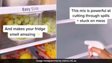 Viral video shows the ingenious way to clean the fridge with a DIY sprayer