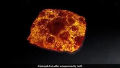 Viral: NASA shares video of storm "Pepperoni" on Jupiter (Watch)