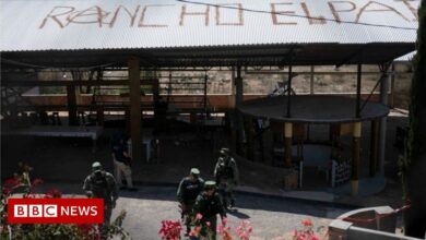 Mexican cockfight: Gunmen 'hid in vans'