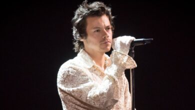 Harry Styles's Harry's House Album Cover Outfit Is Chic