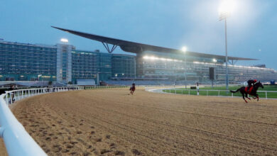 Record number of TV stations to show DWC Night