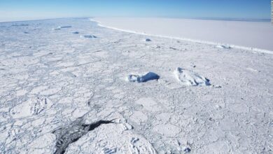 Antarctic ice shelf Larsen C is at risk of collapse due to atmospheric rivers