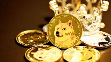 Dogecoin Value Shoots to Near Two-Month High After Elon Musk