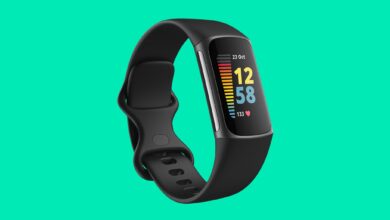 12 Best Fitness Trackers (2022): Watches, Bands, Rings, and More
