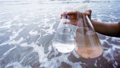 MIT Engineers Created a Portable Device that Zaps Seawater to Make Drinking Water