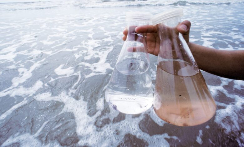 MIT Engineers Created a Portable Device that Zaps Seawater to Make Drinking Water