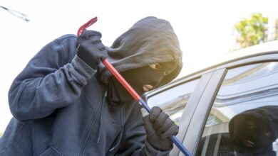 Auto theft on the rise in 2022 in some states