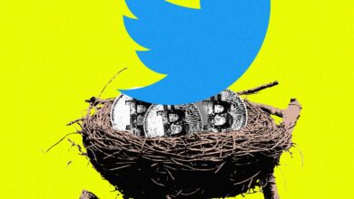What Twitter Is Really Planning for Crypto