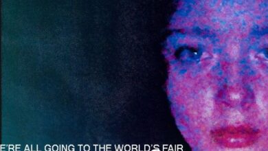 We All going to the World's Fair review: horror for internet addicts