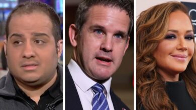 Leah Remini, Adam Kinzinger, and Yashar Ali Are Fighting About ‘Top Gun’