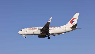 China Eastern crash probe reportedly eyes intentional action