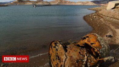 Lake Mead: Reservoir shrinks to reveal more human remains