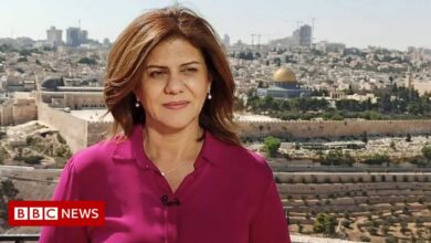 Shireen Abu Aqla: UN condemns killing of reporter Al Jazeera