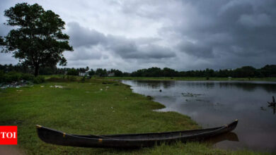 Monsoon over Andaman, may hit Kerala early: IMD | India News