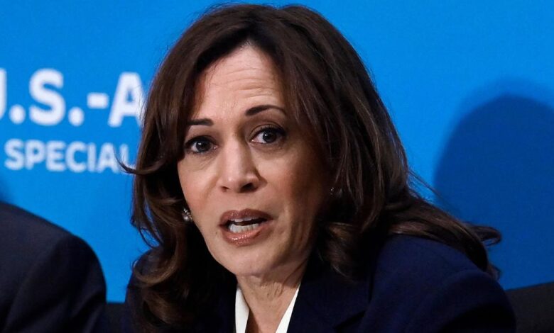 Kamala Harris meets with new UAE president and expresses condolences following death of the country's president