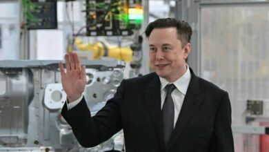 Elon Musk puts $44 billion Twitter deal 'on hold'