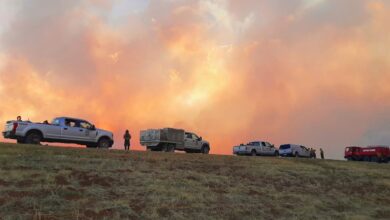 New Mexico wildfire burns through ‘sacred land’ | Environment News