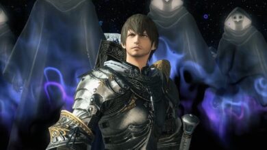 Final Fantasy 14 is attacking players who use the mod