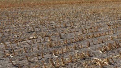 ‘Flash Droughts’ Are the Midwest’s Next Big Climate Threat
