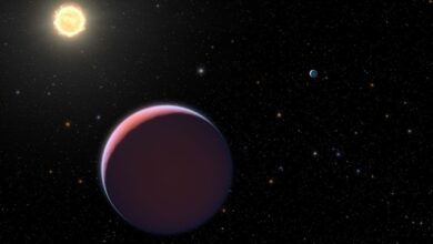 Astronomers Locate “Super Earth” Exoplanet in the Habitable Zone of Its Host Star