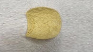 Shocking!  UK man sells a potato chip for 1.63 Lakh Rupees