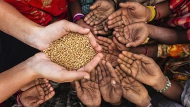 Without Peace, Hunger Will Continue to Increase — Global Issues