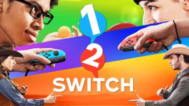 Unannounced Switch 1-2 Sequel Reported In Limbo After Poor Testing In Nintendo